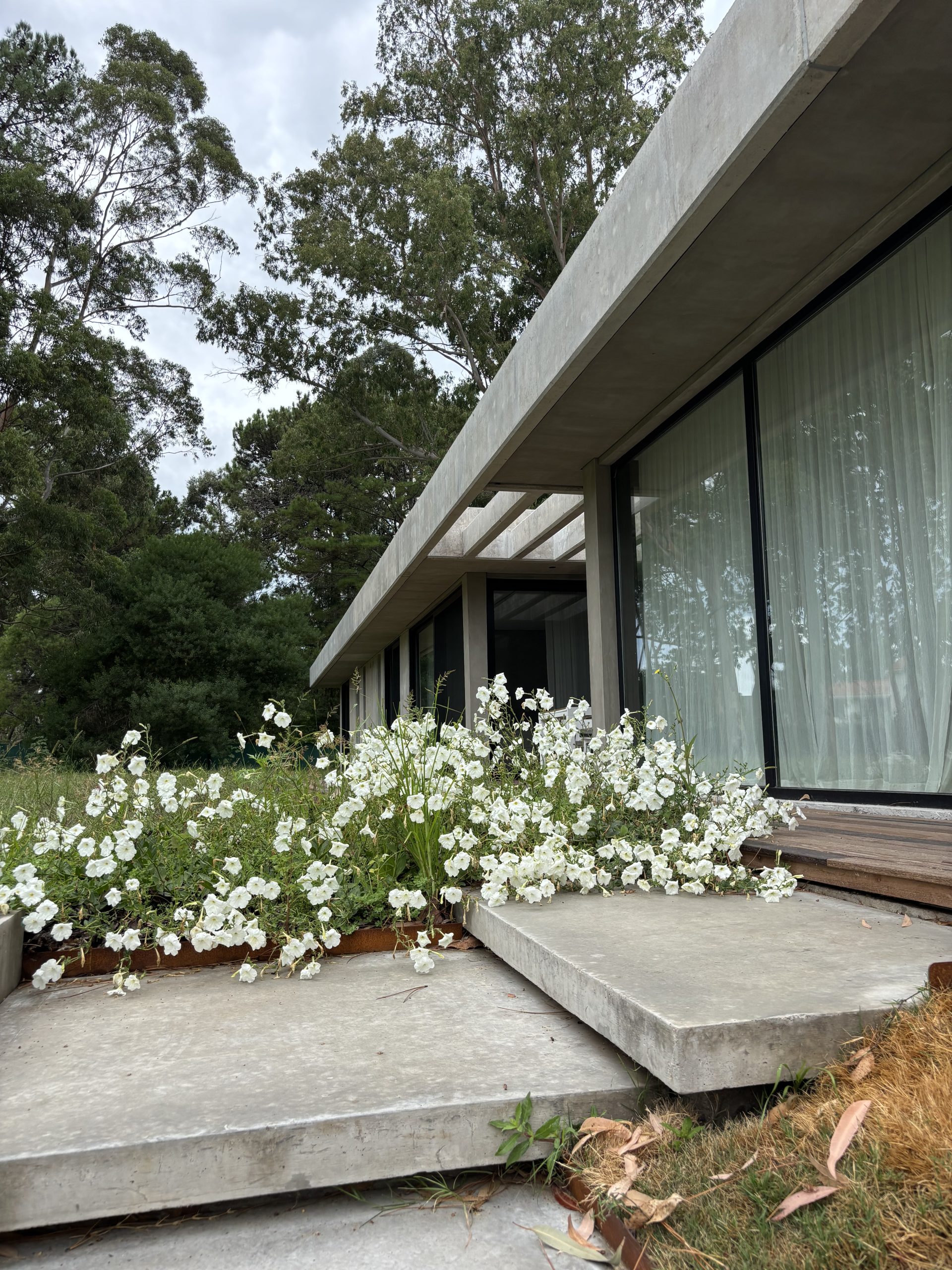 Vivienda en La Arbolada, exterior