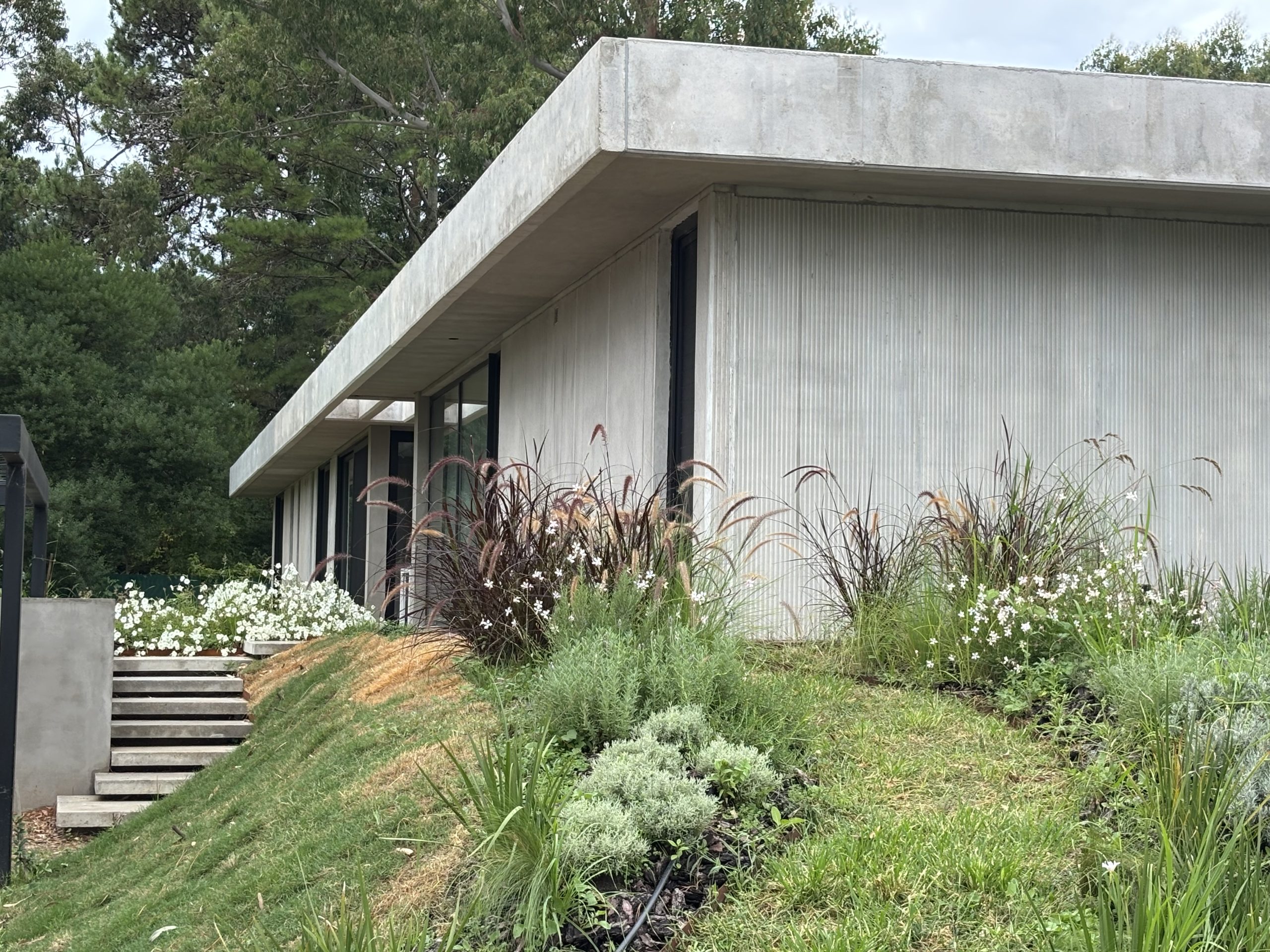 Vivienda en La Arbolada